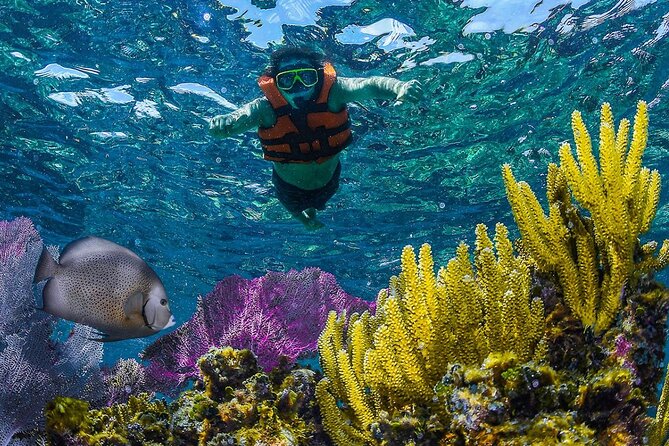 Half Day Guided Snorkeling Adventure Tour From Cancun - Snorkeling Locations