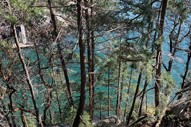Half-day Hike and Bike Tour in Vancouver - Traveler Photos and Reviews