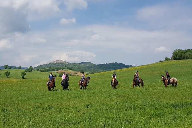 Half-Day Horseback Ride in Tuscany for Beginner Riders - Introduction to Horseback Riding for Beginners