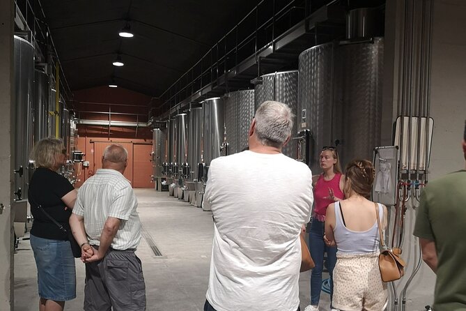 Half-Day in the Médoc : 2 Wineries & 6 Wines - Meeting and Pickup