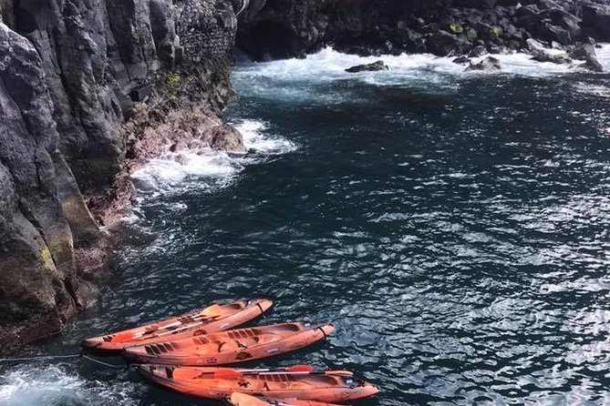 Half Day Kayak Tours - Meeting and Pickup Details