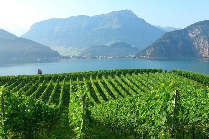 Half-Day Lake Lucerne Country Walk - Logistics