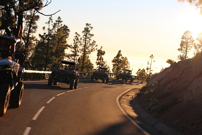 Half Day Morning Buggy Tour in Teide National Park - Cancellation Policy