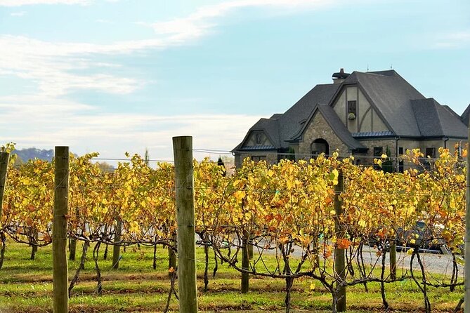 Half-Day North Georgia Wine Country Tour From Atlanta - Itinerary and Activities