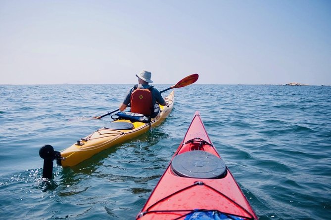 Half-Day Orleans Island Small-Group Sea Kayaking Tour - Tour Overview
