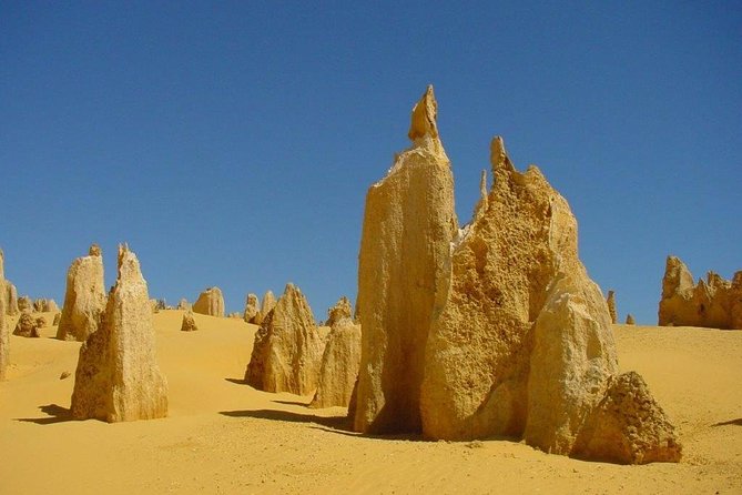 Half Day Pinnacles Sunset Tour - Tour Details