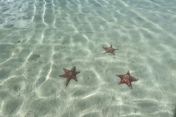 Half Day Private Boat Charter in Grand Cayman - Customer Reviews and Hosts Responses