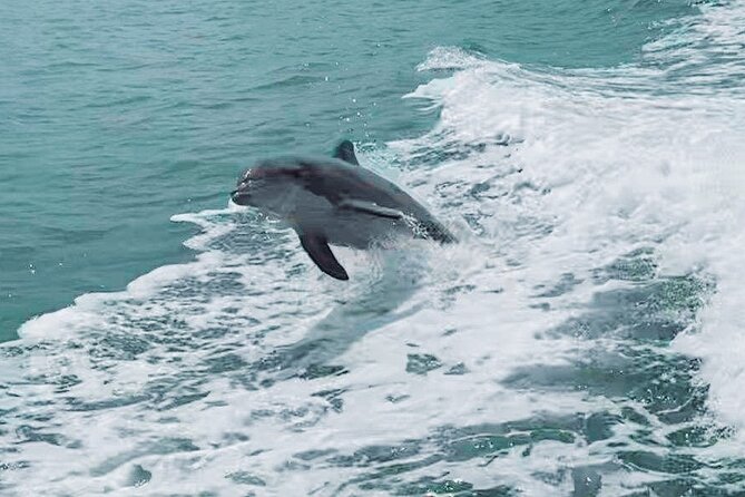 Half-Day Private Boating On Blue Hurricane - Clearwater Beach - Additional Information