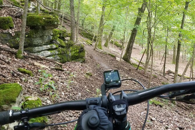 Half-Day Private Guided Mountain Bike Tour in Bentonville - Experience Northwest Arkansas Scenic Beauty