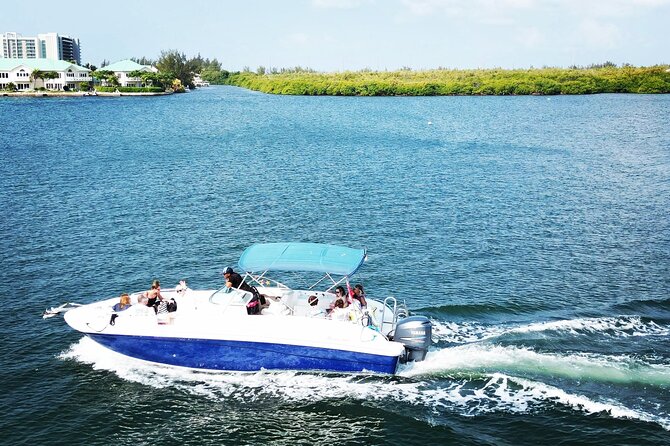 Half-Day Private Stingray City Charter in Cayman Islands - Traveler Photos and Reviews