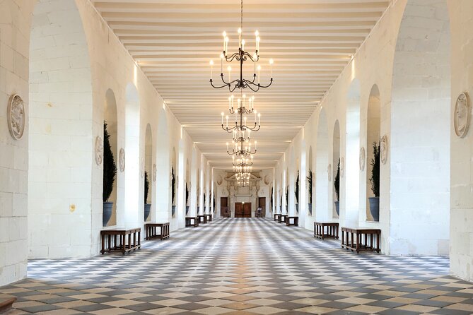 Half Day Private Trip Chenonceau Loire Valley Castle - Itinerary and Activities