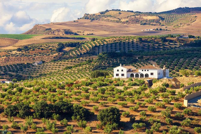 Half-Day San Sebastian Eco Farm Tour and Food Tasting - Meeting and Pickup Details
