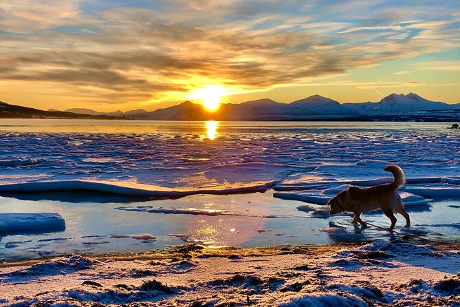 Half-Day Scenic Wildlife & Photographic Fjord Tour. - Scenic Fjord Views