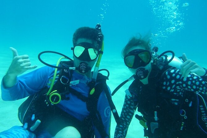 Half Day Scuba Diving Trip in the Florida Keys - What to Expect During the Scuba Diving Trip
