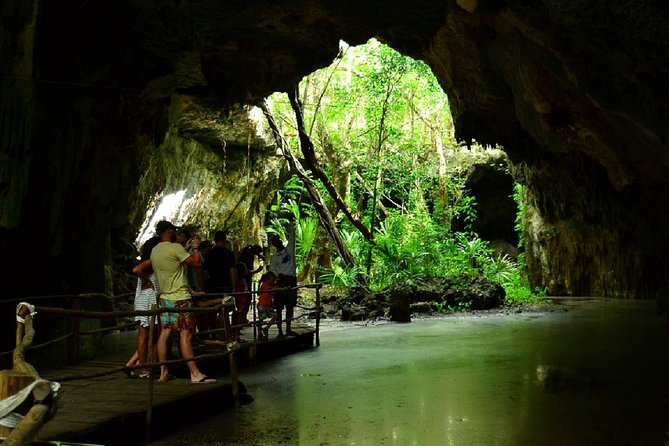 Half-Day Sea Turtle and Cenote Snorkeling Tour From Cancun & Riviera Maya - Inclusions and Provided Services