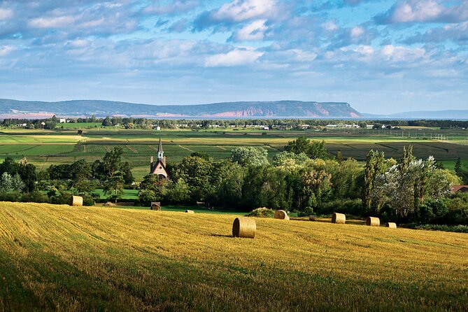 Half-Day Small-Group Tour of Annapolis Valley - Itinerary Highlights