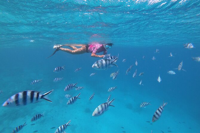 Half-Day Snorkeling Tour From Papeete - Meeting Point and Pickup Points
