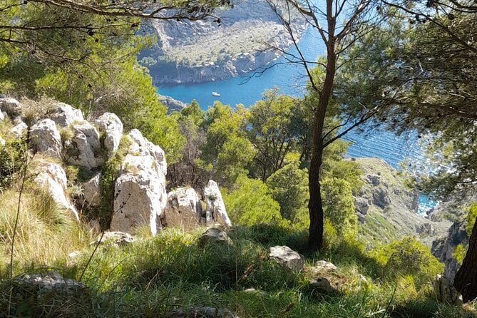 Half-Day Sorrento Private Tour by Vespa - Highlights of the Sorrento Tour by Vespa
