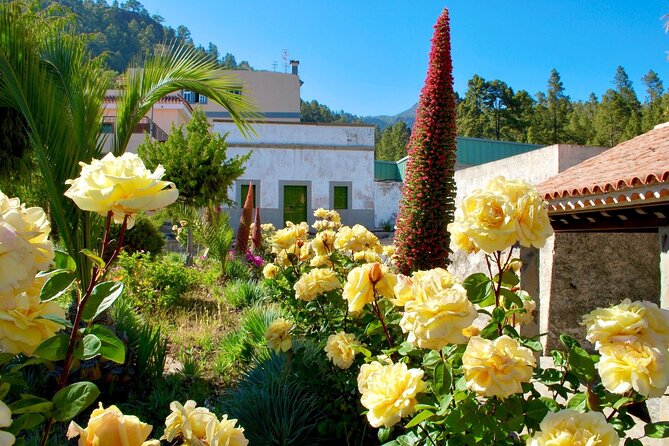 Half Day Southern Rural Tenerife Tour With Wine Tasting - Rural Tenerife Landscapes