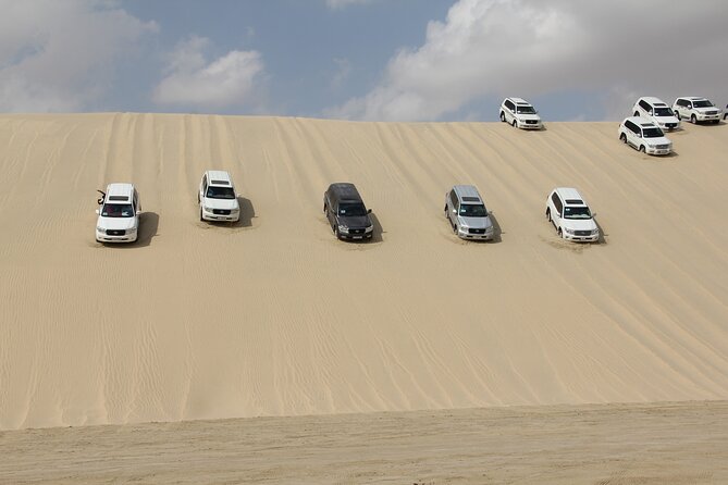 Half Day Tour in Sealine Beach With 1 Hour Camel Ride - What to Expect