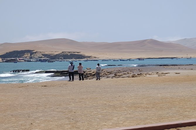 Half-Day Tour of Paracas National Reserve From San Martin Port - Customer Reviews