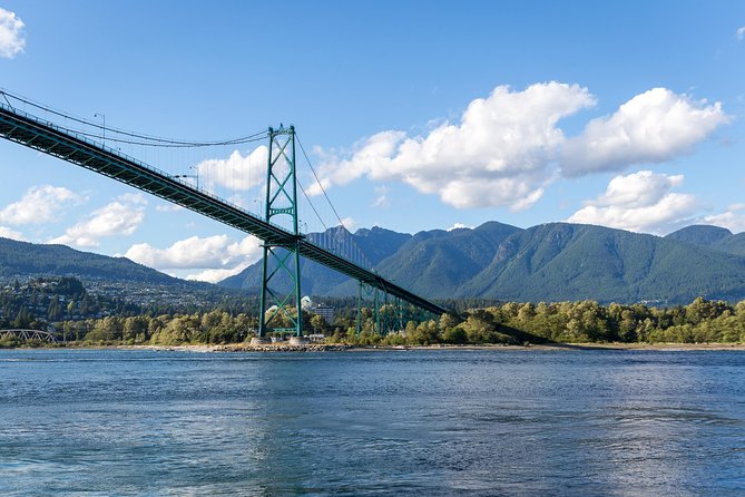 Half-Day Whale Watching Adventure From Vancouver - What to Expect