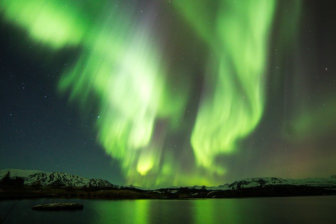 Half-Day Whale Watching and Northern Lights Combo Tour - What to Expect