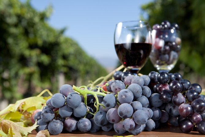 Half-Day Wine Tastings in the North Georgia Mountains - Common Questions