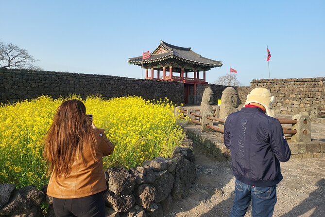 Half or Day Tour for Cruise Customers Arriving at Gangjeong Port - Transportation and Services