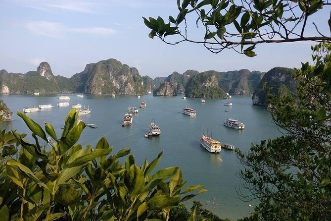 Halong Bay One Day Tour Included Bus - Bus Pick-up Locations