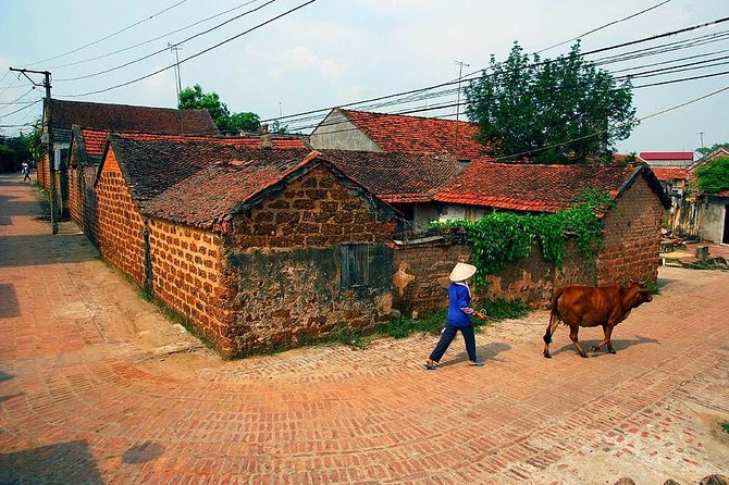 Hanoi: Duong Lam Historical Village Private Day Tour - Reservation and Payment