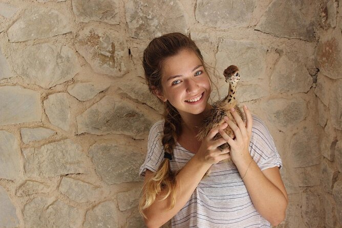 Happy Family Private Adventure in Rhodes With a Flexible Itinerary - Meeting and Pickup