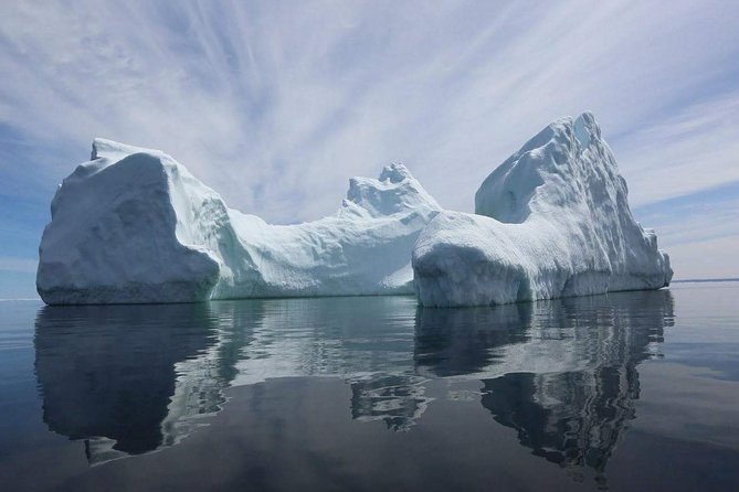 Harbour Kayak Tour - Inclusions