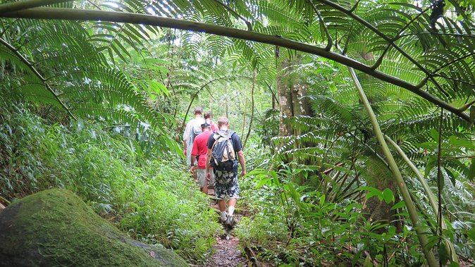 Hawaiian Waterfall Hike - Common Questions