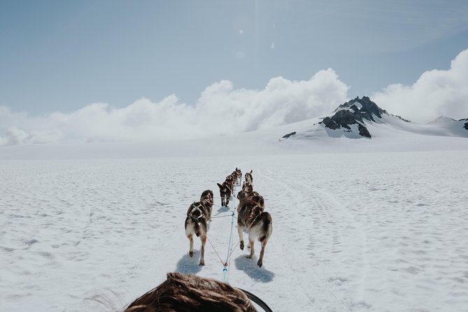 Helicopter and Glacier Dog Sledding Tour From Seward - Experience Highlights