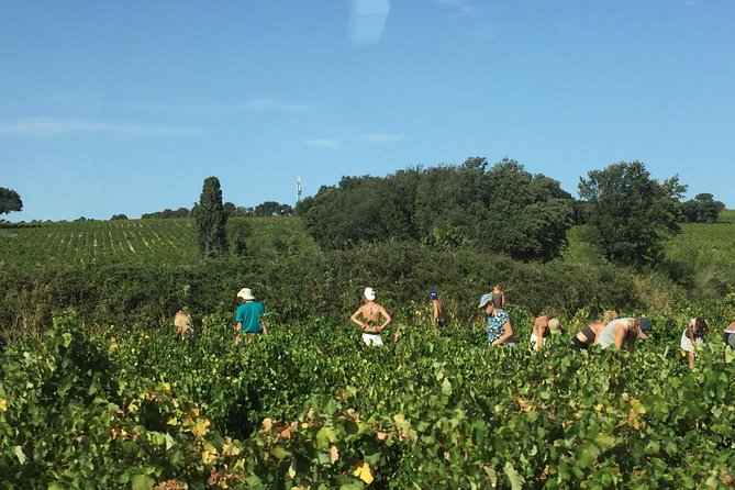Heritage, Wines and Gastronomy - 3-Day Tour