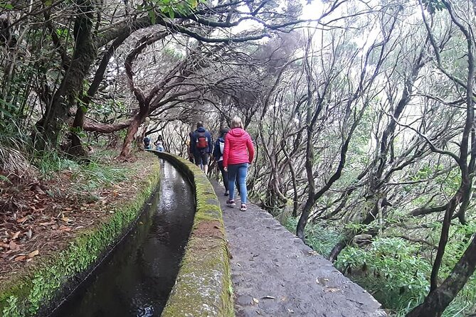 Hike 25 Fontes & Risco Levada Self-Guided - Free Time to Explore 25 Fontes and Risco Trails
