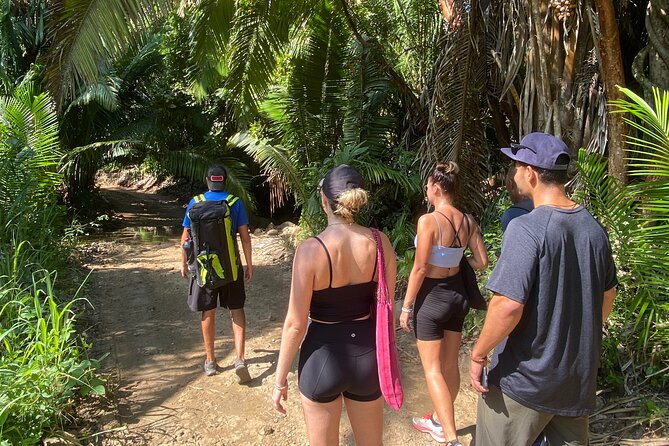 Hike and Yoga Jungle Experience in Mexico - Tour Highlights