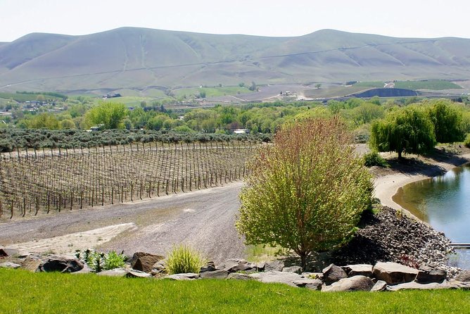 Hike Mt. Rainier & Taste Yakima Valley Wine: All-Inclusive Day Tour From Seattle - Cancellation Policy