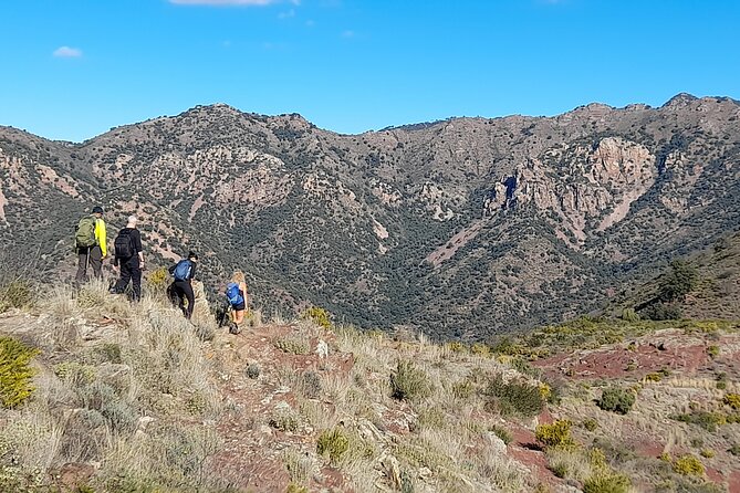 Hiking & Cheese Tasting: Private Tour From Valencia - Tour Overview