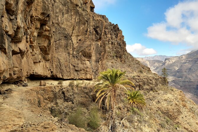 Hiking Experience in the North of Gran Canaria - Lunch and Refreshments