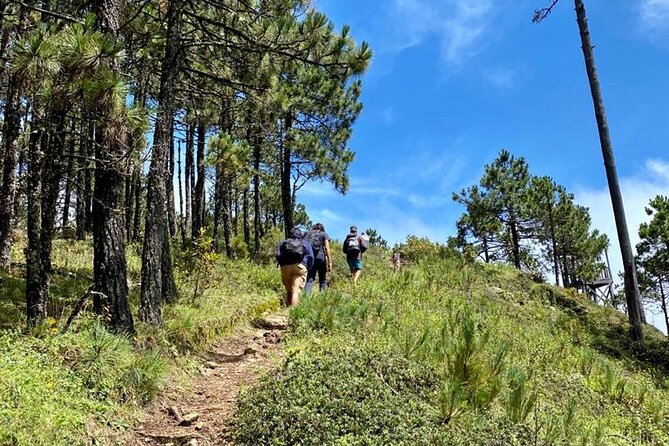 Hiking in the Enchanted Forest of Ixtepeji With Rescue Dogs - Experience the Magic: Interacting With Rescue Dogs