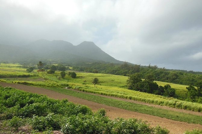 Hiking Mount Liamuiga Volcano in St Kitts - Overview and Highlights