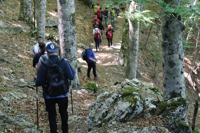 Hiking on Faito Mountain From Sorrento - Traveler Photos and Reviews of the Hiking Tour