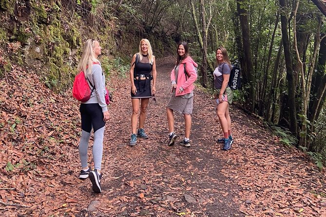 Hiking Through Enchanted Forest Above Masca Half-Day Hike Tenerif - Scenic Highlights