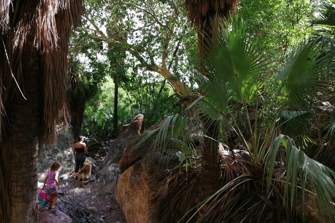 Hiking to Desert Palm Oases of San Carlos With a Biologist - Inclusions and Amenities