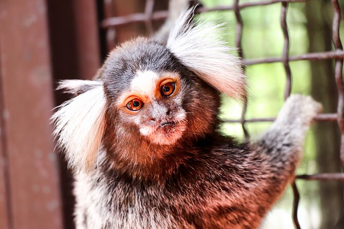 Hiking to Vallarta Botanical Garden. - Flora and Fauna Encounters