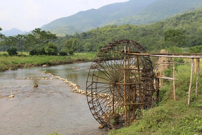 [Hiking & Trekking] Pu Luong Natural Reserve Explore (Full Day) - Wildlife and Flora in Pu Luong Natural Reserve