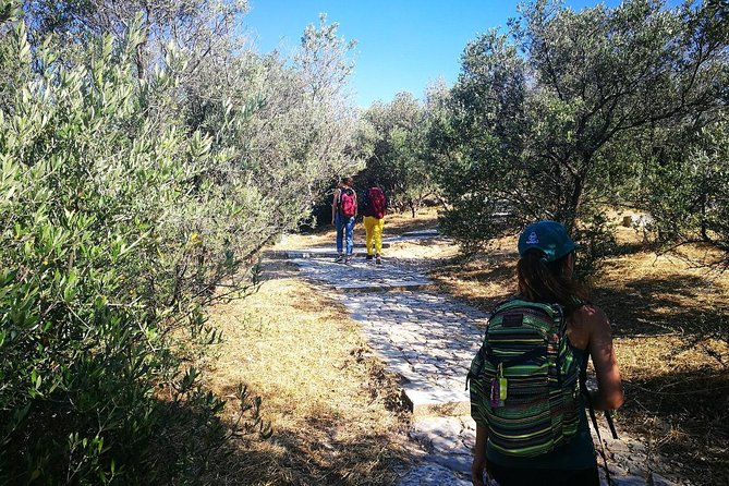Hills Of Athens Walking Tour - Tour Details