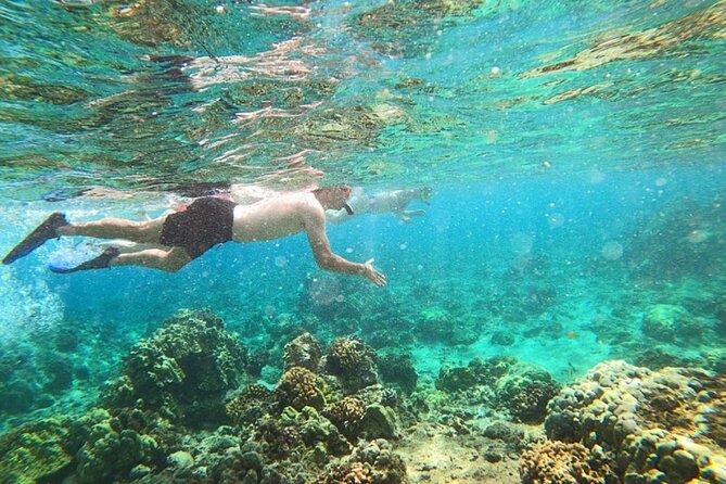 Hilo Small-Group Dolphin Watch and Snorkel Tour  - Big Island of Hawaii - Inclusions and Exclusions